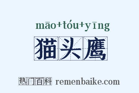 猫头鹰是什么意思的图片